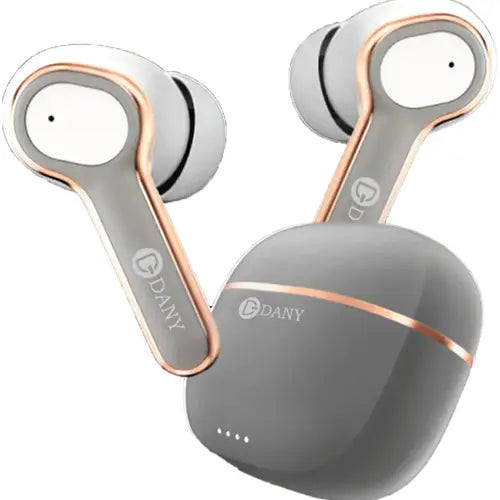 A pair of gray Dany Airdots 220 Pro Plus earphones, alongside a gray charging case.